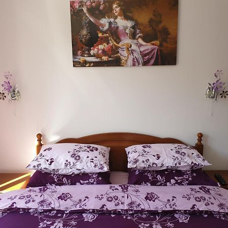 شقة سِنايا  في Sophie Apartament المظهر الخارجي الصورة