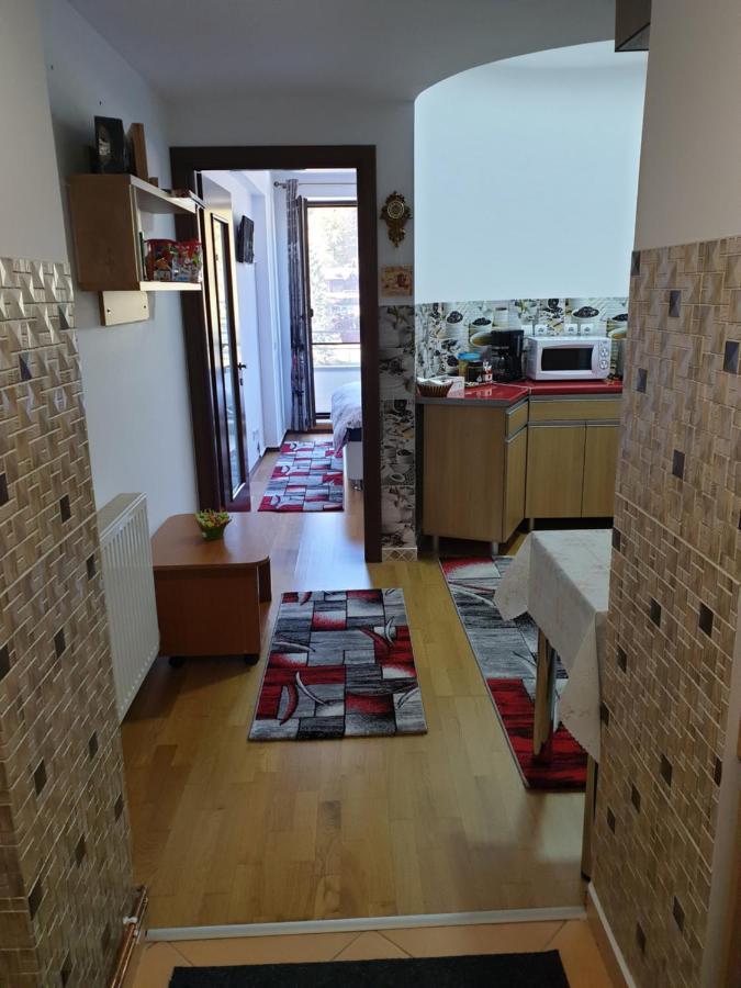 شقة سِنايا  في Sophie Apartament المظهر الخارجي الصورة