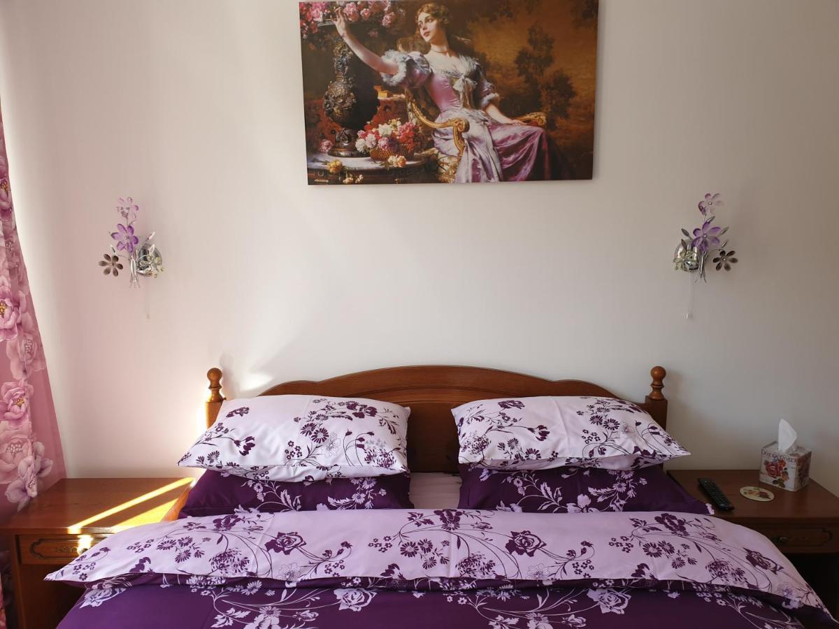 شقة سِنايا  في Sophie Apartament المظهر الخارجي الصورة