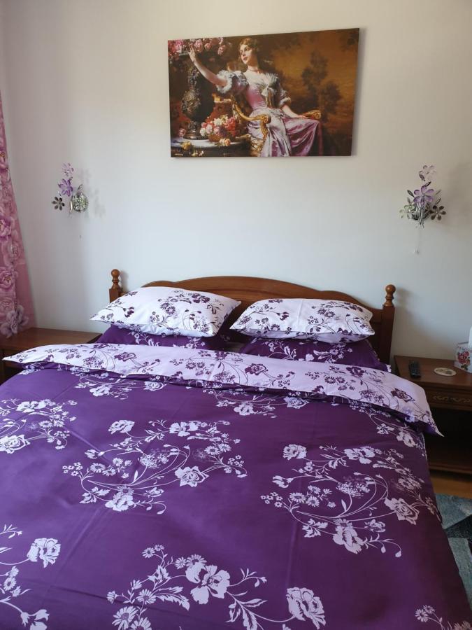 شقة سِنايا  في Sophie Apartament المظهر الخارجي الصورة