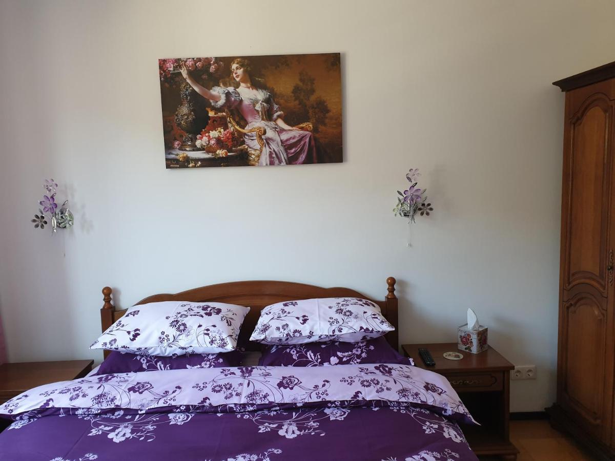 شقة سِنايا  في Sophie Apartament المظهر الخارجي الصورة