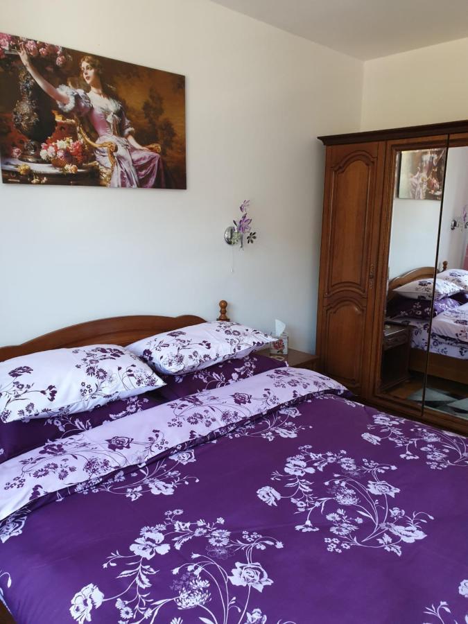شقة سِنايا  في Sophie Apartament المظهر الخارجي الصورة