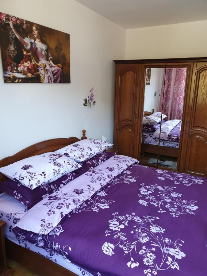 شقة سِنايا  في Sophie Apartament المظهر الخارجي الصورة