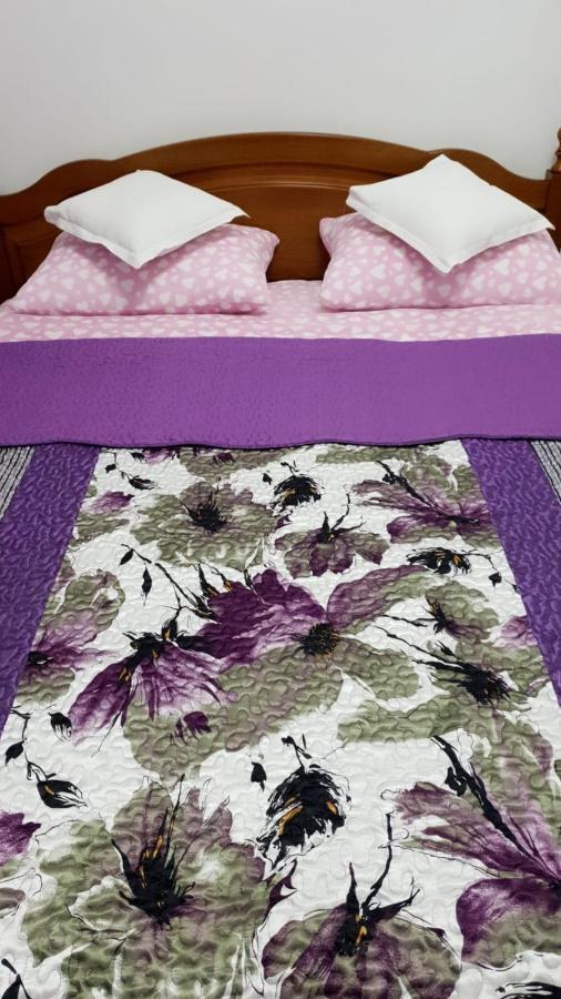 شقة سِنايا  في Sophie Apartament المظهر الخارجي الصورة