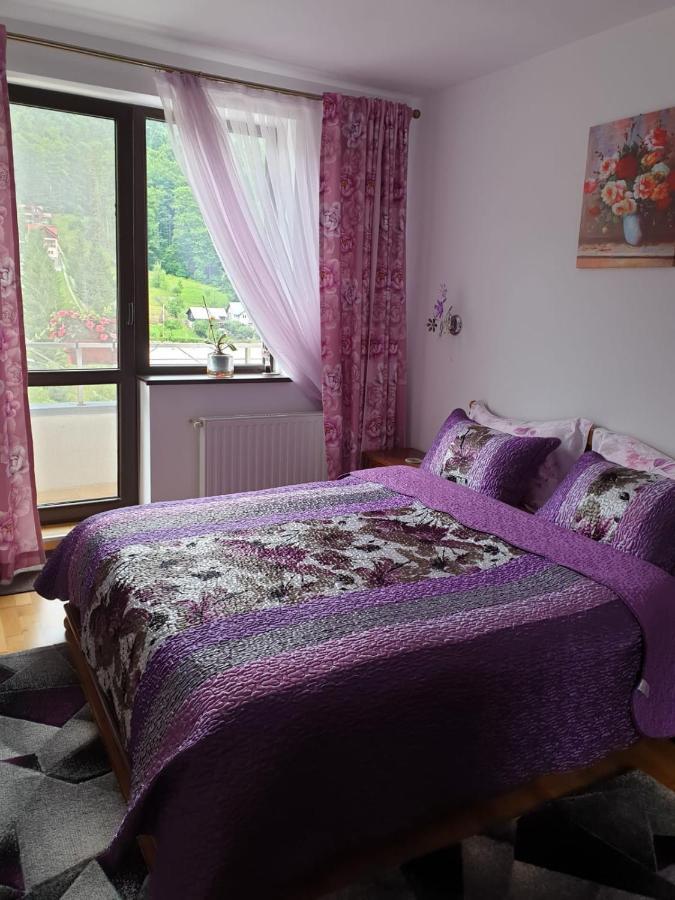 شقة سِنايا  في Sophie Apartament المظهر الخارجي الصورة
