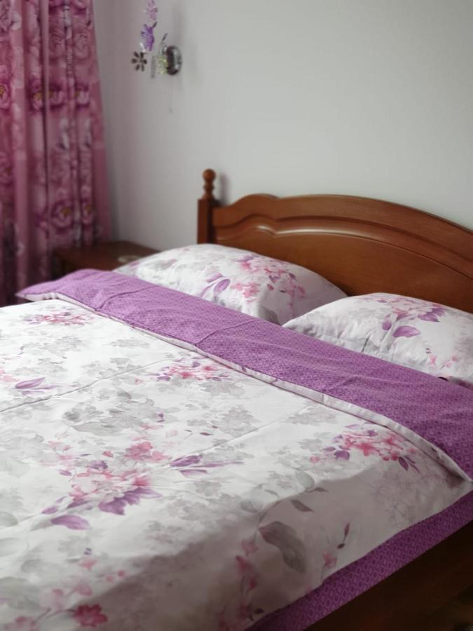 شقة سِنايا  في Sophie Apartament المظهر الخارجي الصورة