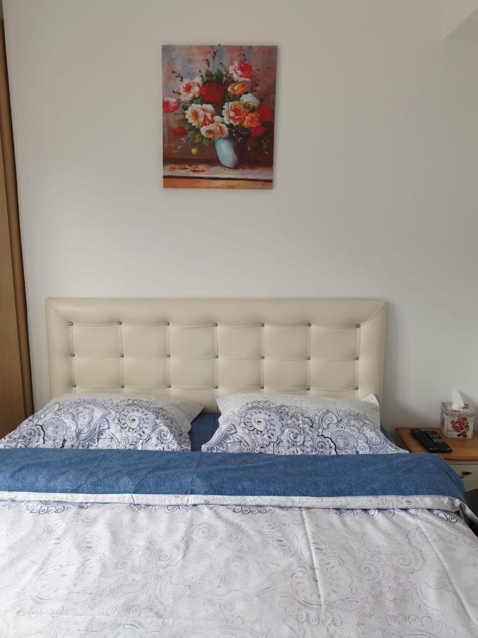 شقة سِنايا  في Sophie Apartament المظهر الخارجي الصورة