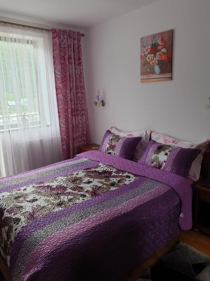 شقة سِنايا  في Sophie Apartament المظهر الخارجي الصورة