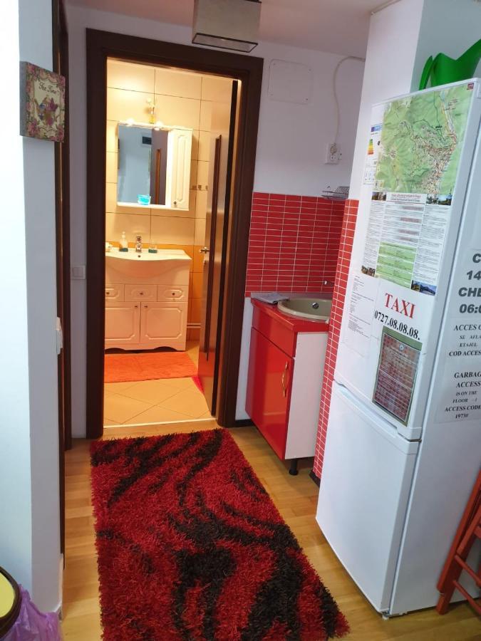 شقة سِنايا  في Sophie Apartament المظهر الخارجي الصورة