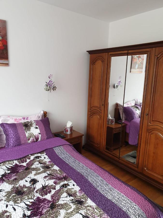 شقة سِنايا  في Sophie Apartament المظهر الخارجي الصورة
