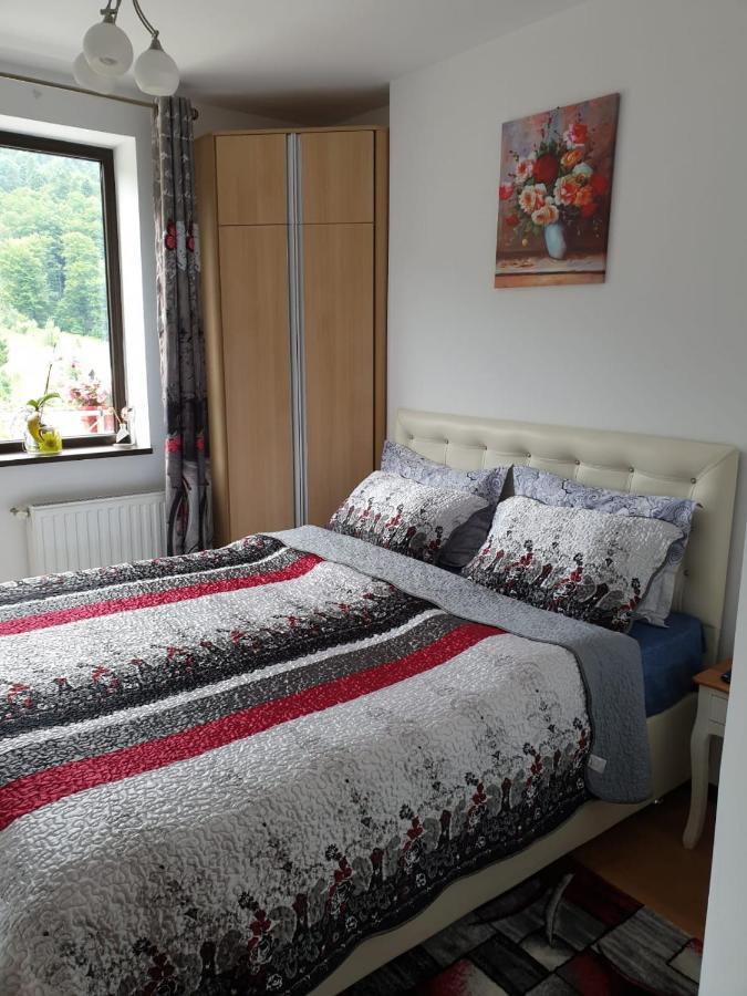 شقة سِنايا  في Sophie Apartament المظهر الخارجي الصورة