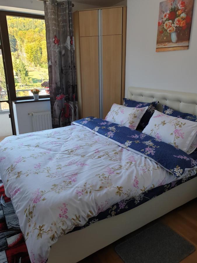 شقة سِنايا  في Sophie Apartament المظهر الخارجي الصورة