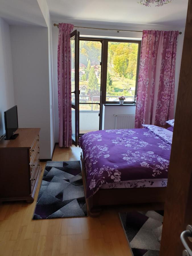شقة سِنايا  في Sophie Apartament المظهر الخارجي الصورة