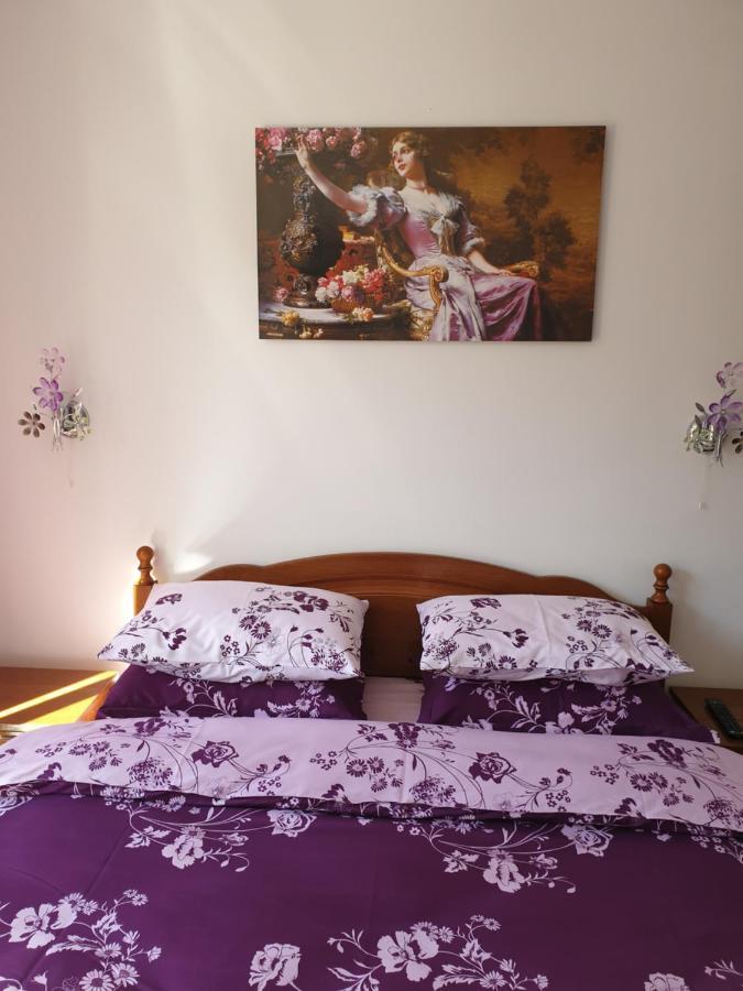 شقة سِنايا  في Sophie Apartament المظهر الخارجي الصورة