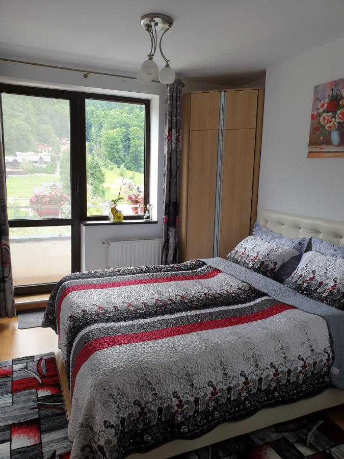 شقة سِنايا  في Sophie Apartament المظهر الخارجي الصورة