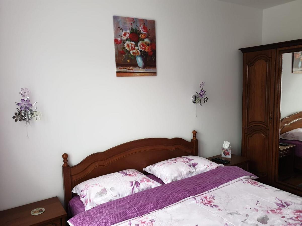 شقة سِنايا  في Sophie Apartament المظهر الخارجي الصورة
