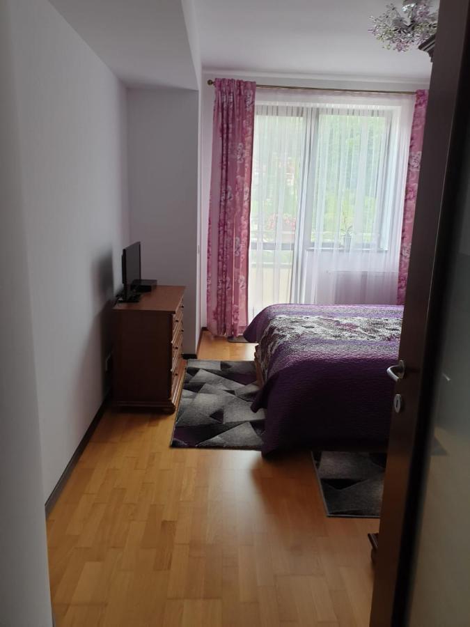شقة سِنايا  في Sophie Apartament المظهر الخارجي الصورة