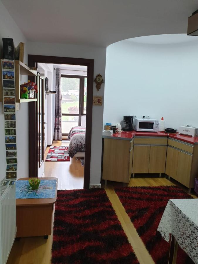 شقة سِنايا  في Sophie Apartament المظهر الخارجي الصورة