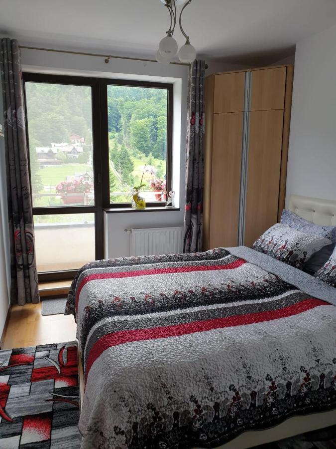 شقة سِنايا  في Sophie Apartament المظهر الخارجي الصورة