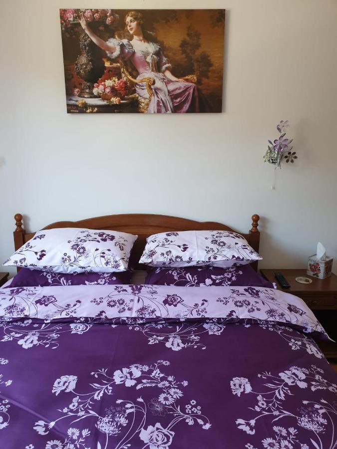 شقة سِنايا  في Sophie Apartament المظهر الخارجي الصورة