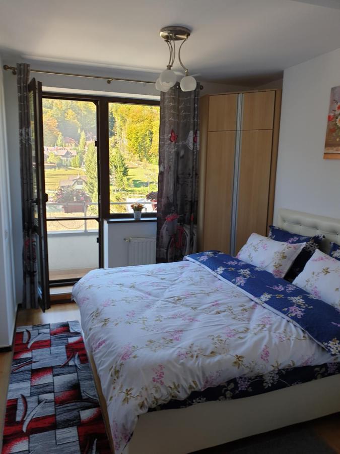 شقة سِنايا  في Sophie Apartament المظهر الخارجي الصورة