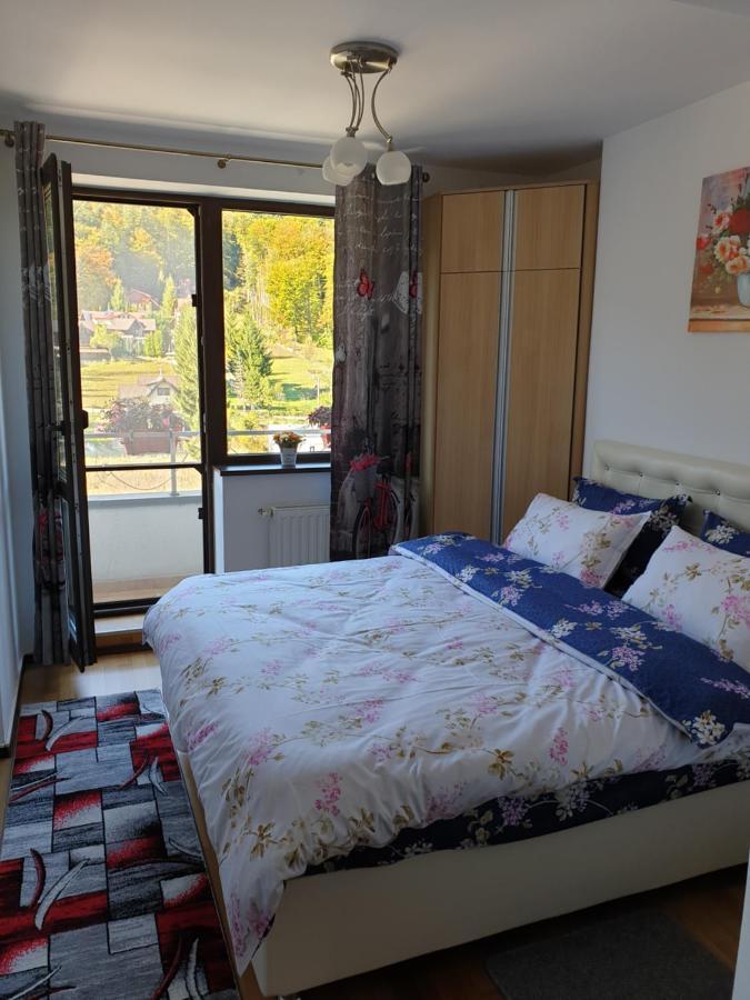 شقة سِنايا  في Sophie Apartament المظهر الخارجي الصورة