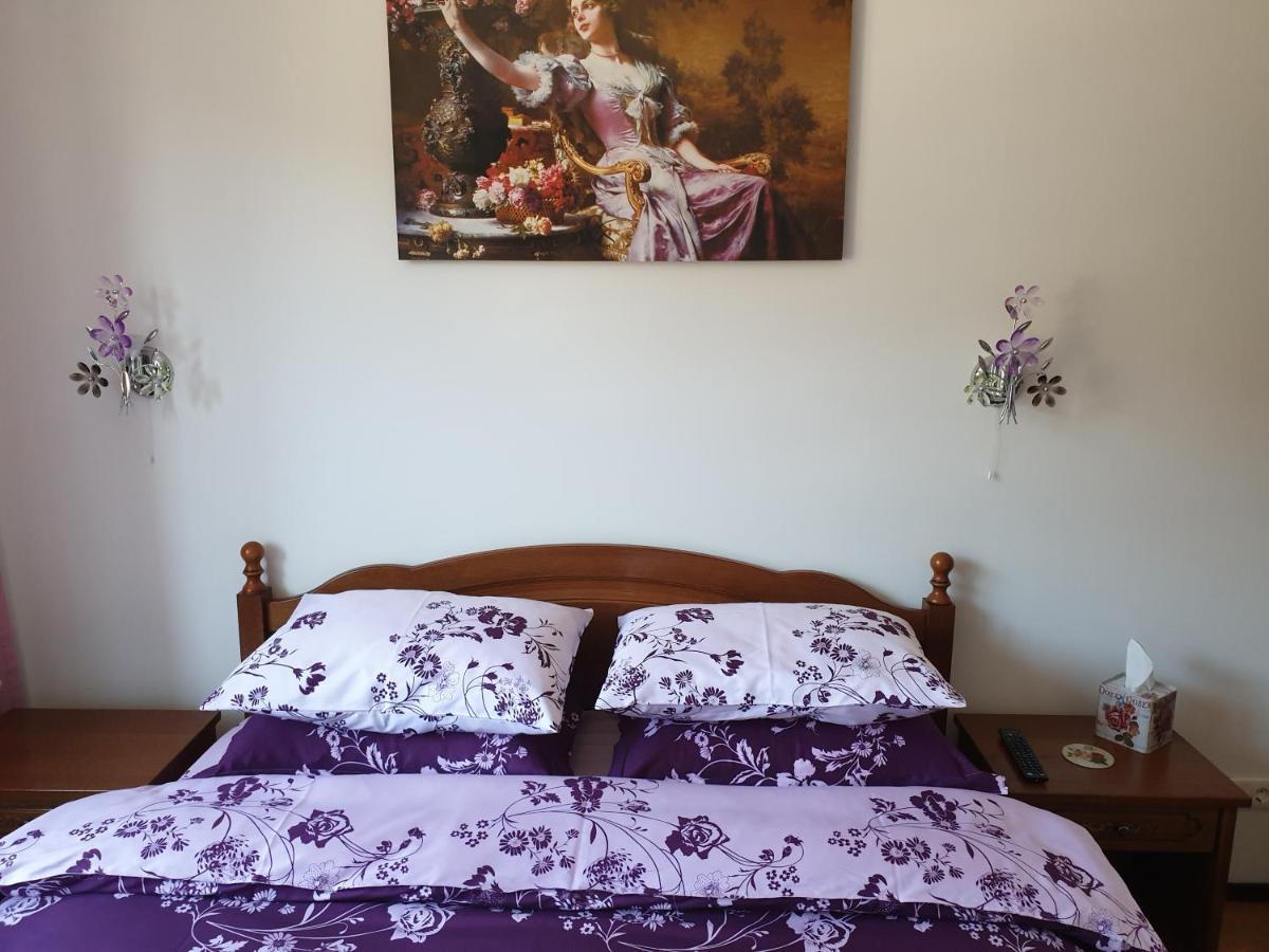 شقة سِنايا  في Sophie Apartament المظهر الخارجي الصورة