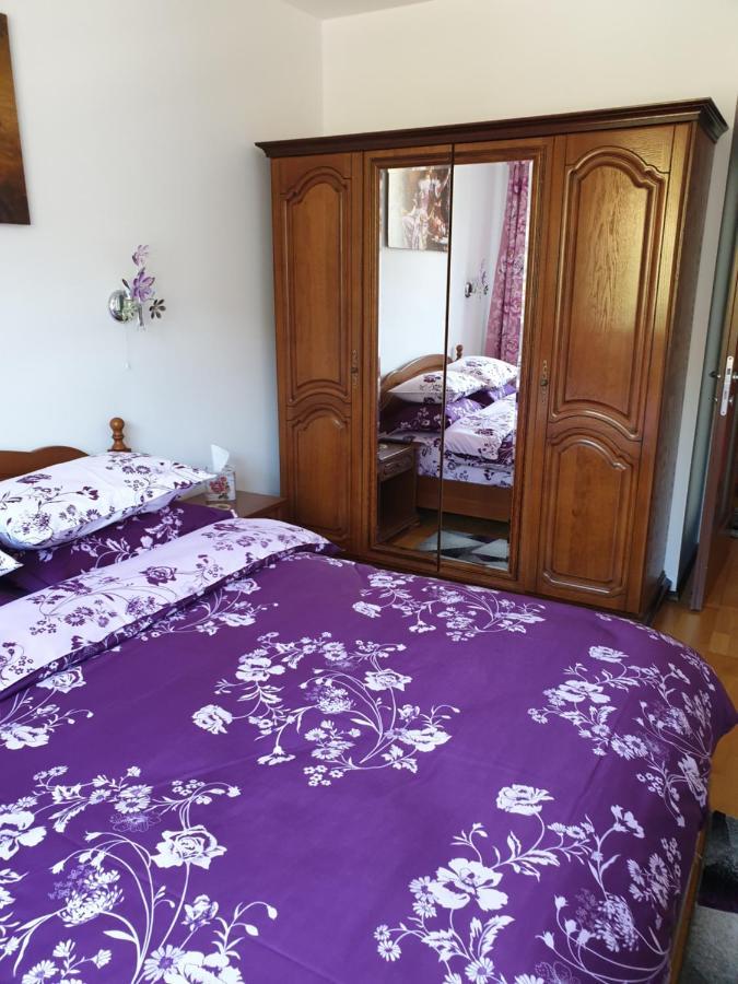 شقة سِنايا  في Sophie Apartament المظهر الخارجي الصورة