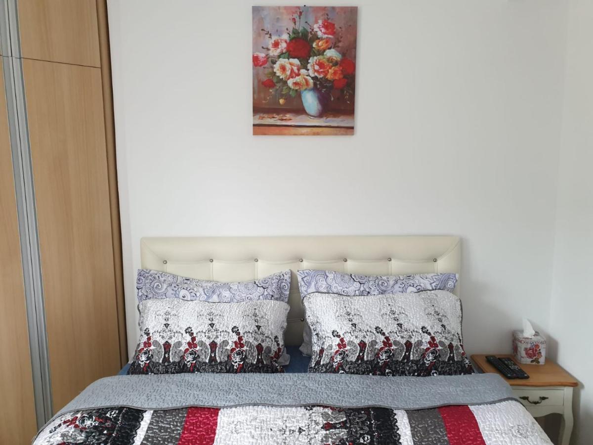 شقة سِنايا  في Sophie Apartament المظهر الخارجي الصورة
