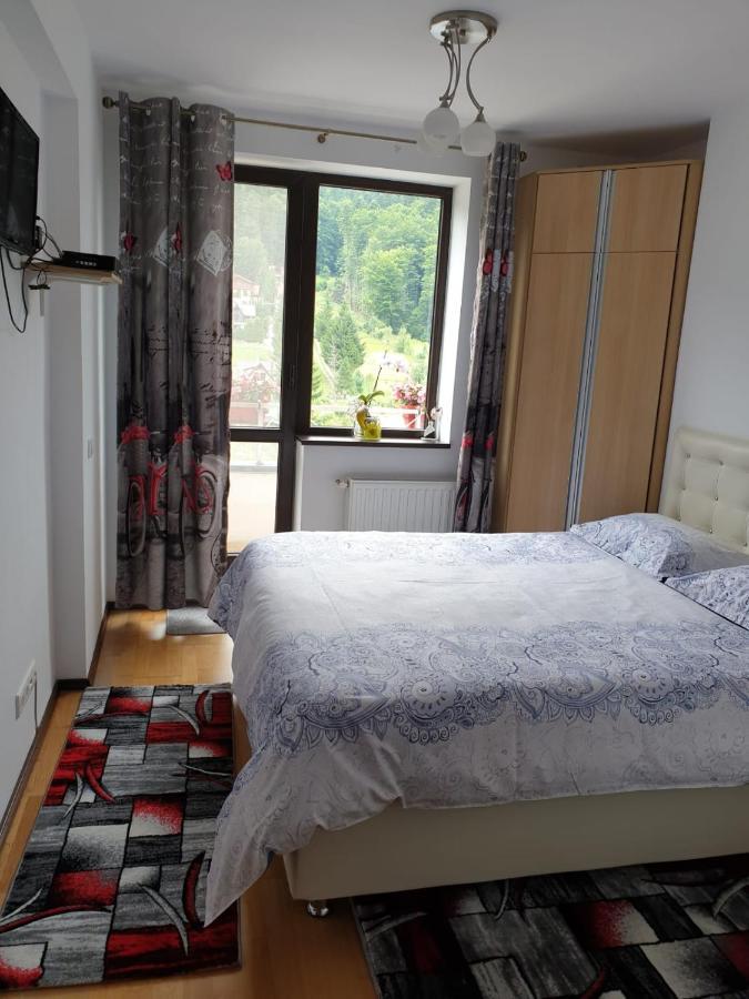 شقة سِنايا  في Sophie Apartament المظهر الخارجي الصورة