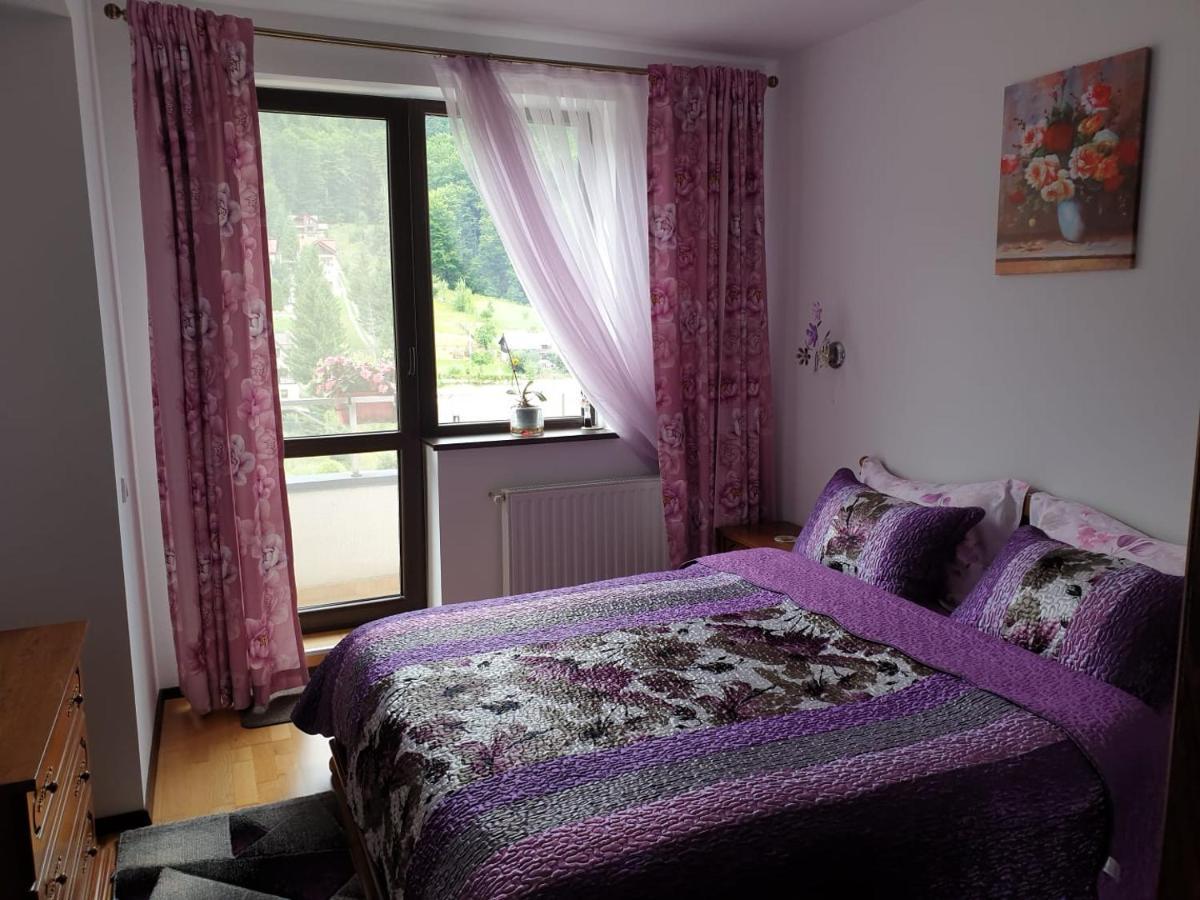 شقة سِنايا  في Sophie Apartament المظهر الخارجي الصورة