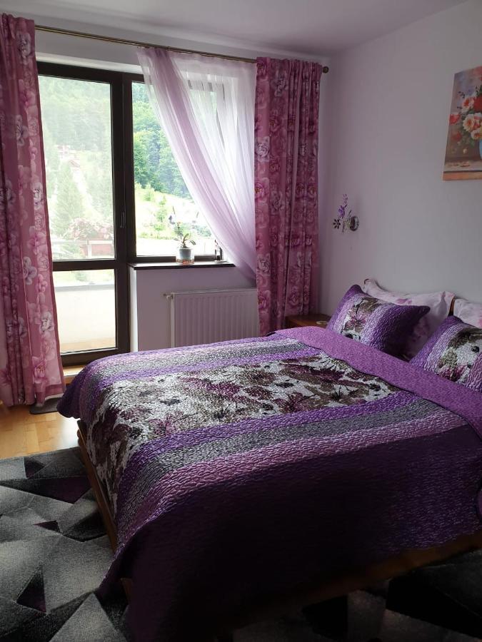 شقة سِنايا  في Sophie Apartament المظهر الخارجي الصورة